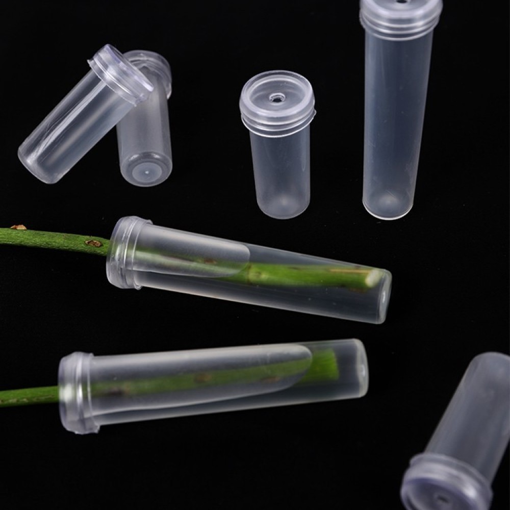 Viales de Agua Floral de Larga - Longs Florist Supply reseña y precio