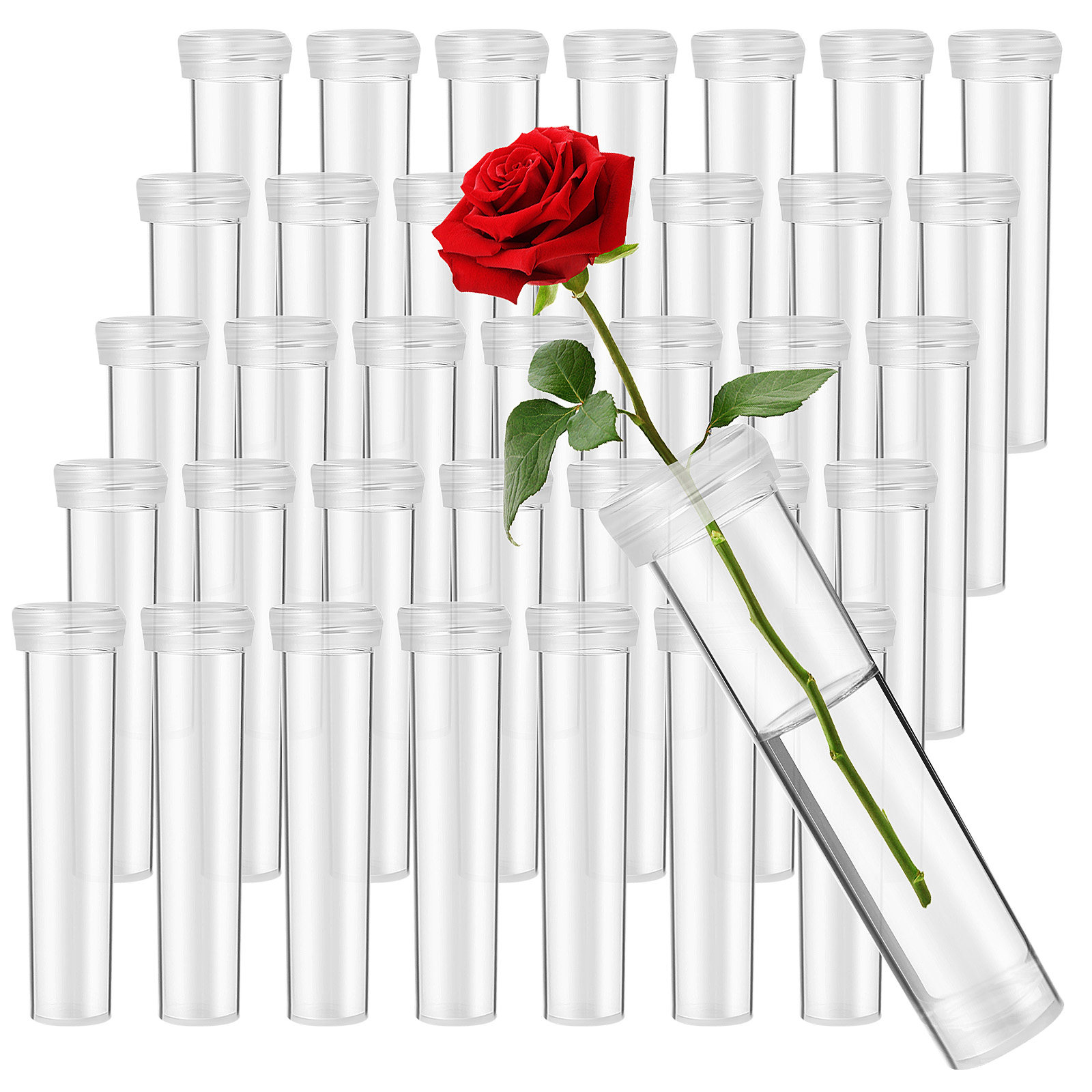 100 Tubos de Agua para Flores, - Florist Flower Supply reseña y precio