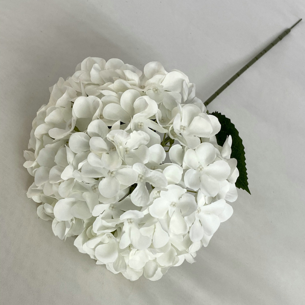 Hortensia Decorativa de Simula - Longs Florist Supply reseña y precio
