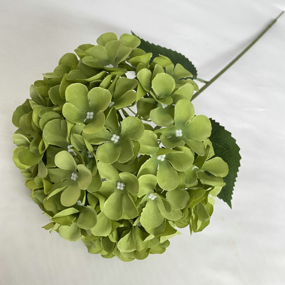 Hortensia Decorativa de Simula - Longs Florist Supply reseña y precio