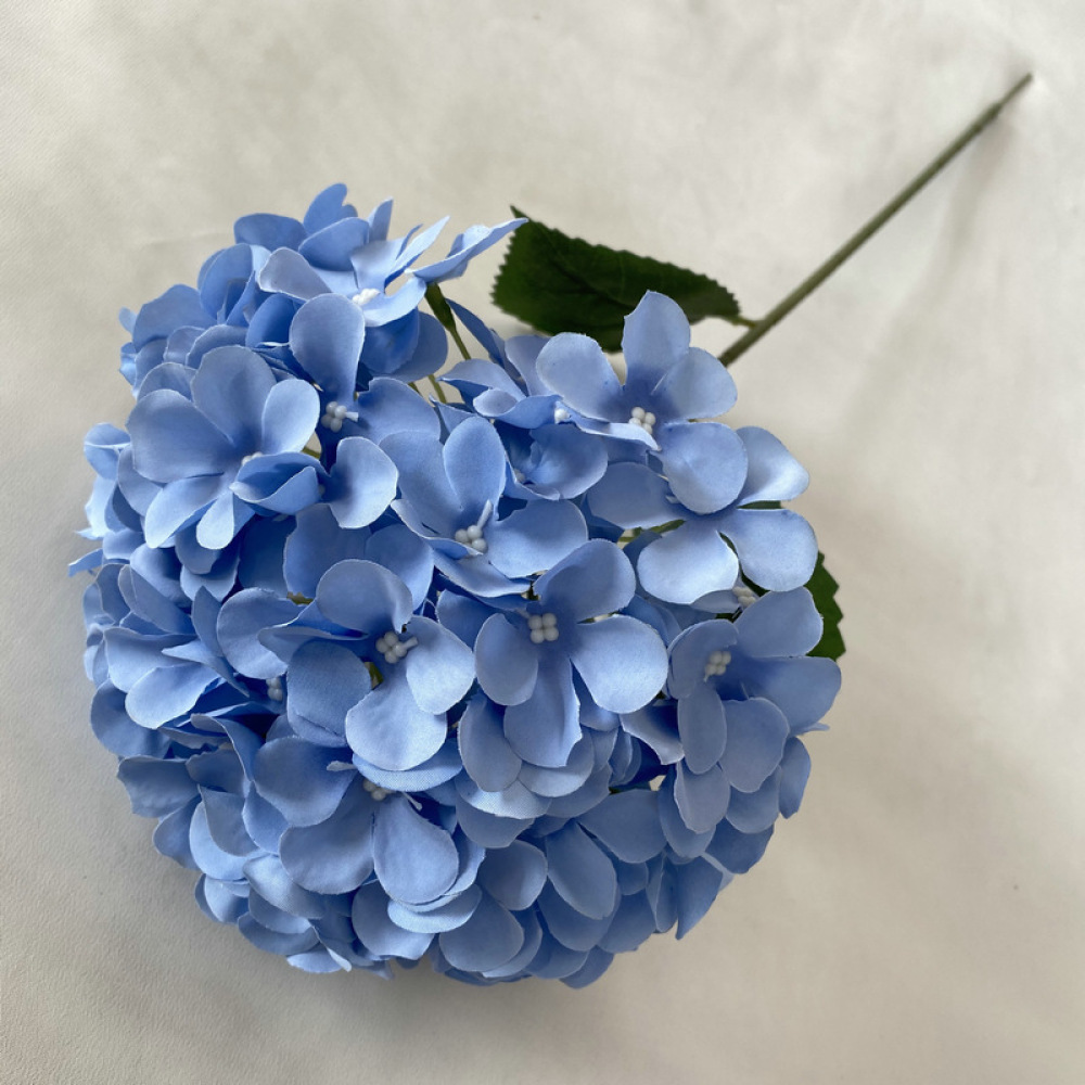 Hortensia Decorativa de Simula - Longs Florist Supply reseña y precio